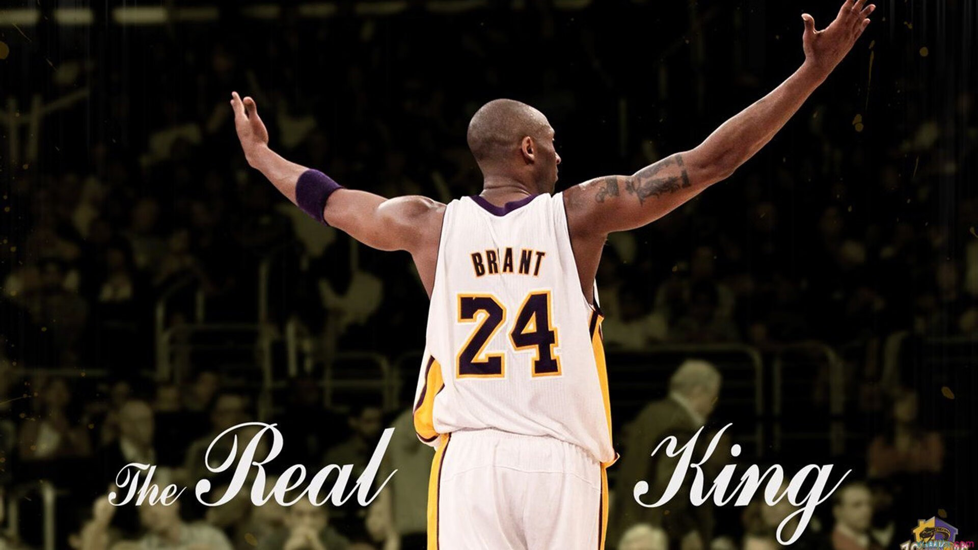 开云平台-体育精神:逆境中奋起的榜样!,体育精神励志